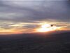 Canopy in sunset